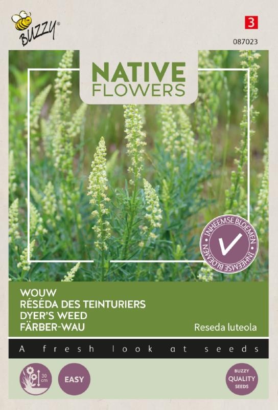 semená rezeda, semená kvetov,  Reseda luteola